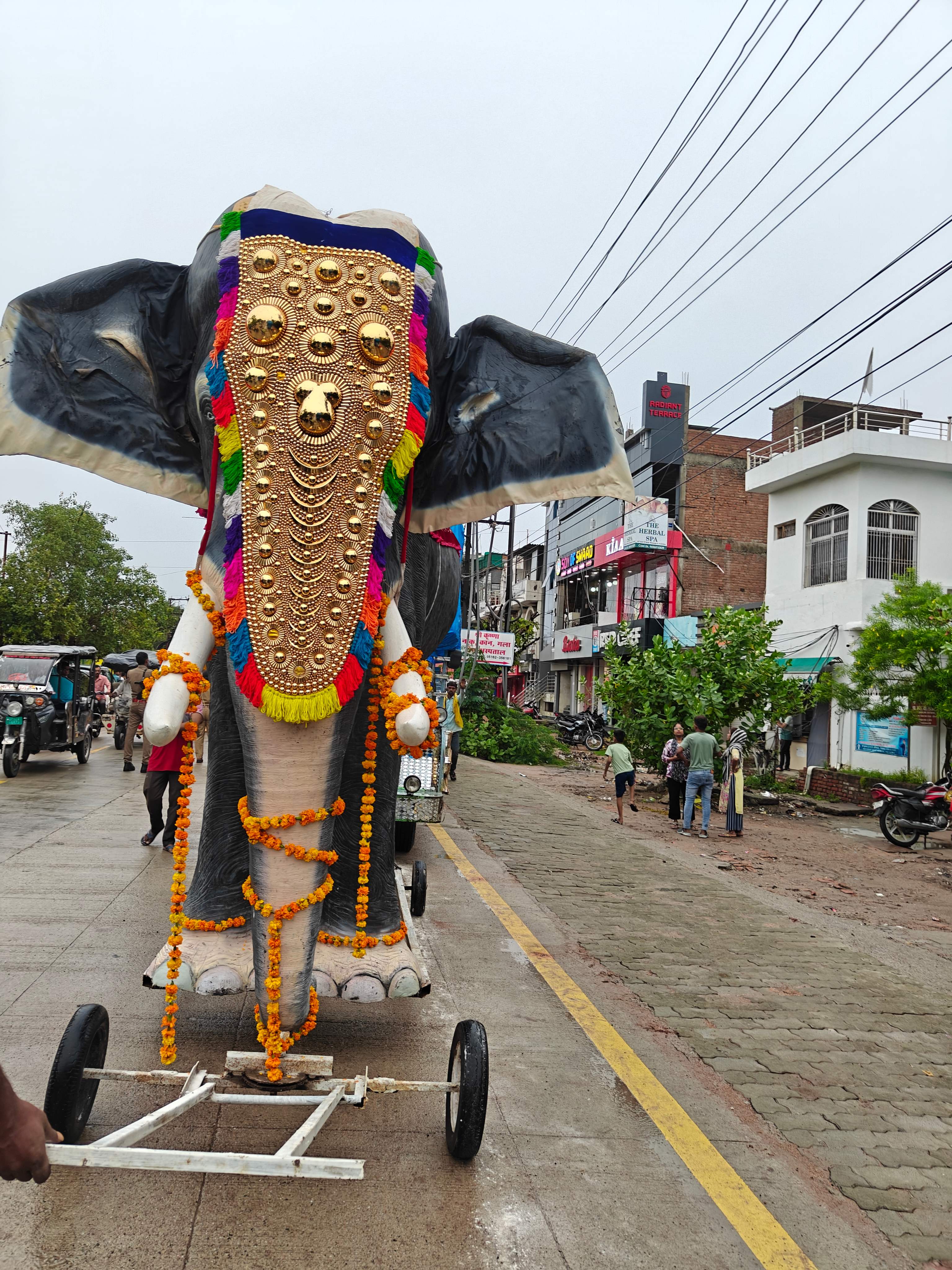 Decorated Elephant Rath Yatra